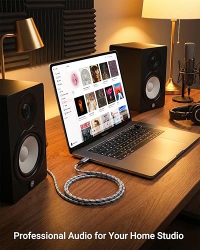 USB C to 1/4 inch Audio Cable 6.6FT - USB-C to Dual 6.35mm TS Mono Y-Splitter for DJ Mixer, Podcasting Music Production Connect Phone/Laptop to Amp, Mixer Speakers(Output ONLY · NOT for Recording)
