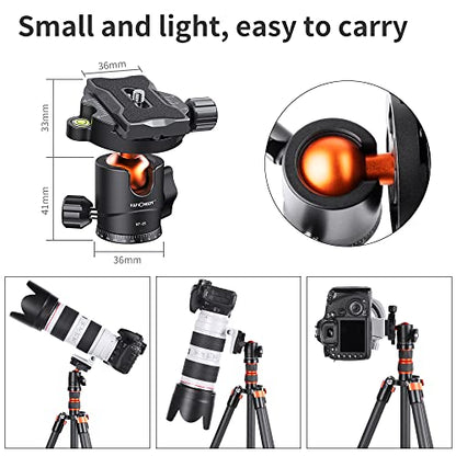 K&F Concept 25mm Metal Tripod Ball Head 360 Degree Rotating Panoramic with 1/4 inch Quick Release Plate Bubble Level for Tripod Monopod Slider Camera Camcorder up to 18 pounds/8 kilograms BH-25 - size: 8 kg Capacity