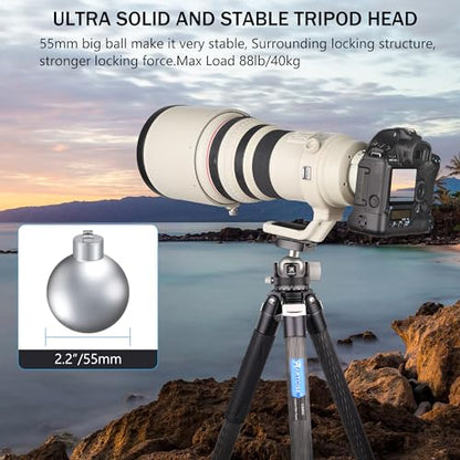 55mm Low Profile Ball Head Tripod Ball Head ARTCISE KB55 Heavy Duty Tripod Head All Metal CNC Machining with Three 1/4" Quick Release Plates for Tripod, Monopod, DSLR, Camcorder, Max Load 88lbs /40kg