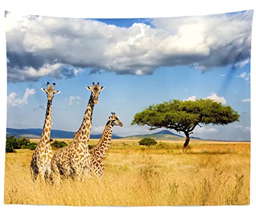 Fabric 5x3ft Kilimanjaro Giraffe Backdrop Africa Safari Background Jungle Giraffe Birthday African Themed Party Decorations Banner Photo Booth Props Zoo Wildlife Animals Backdrops - size: 5x3FT