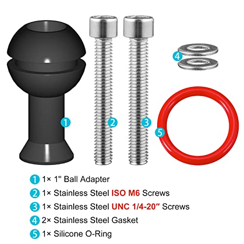 MINIFOCUS 1" Ball Adapter with M6 & 1/4" Threaded Stud, Aluminum Alloy Fixed Ballhead Mount Adapter for Action Camera & Camcorder Compatible Underwater Tray Bracket Flashlight System