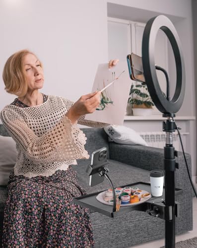 BILIONE Mic Stand Tray with Gooseneck Phone Holder, 10.6" X 7.8" Microphone Stand Tray Crab Clamp On Music Stand Floor Shelf Pole Mount, Karaoke Accessories - style: Tray with Phone Holder