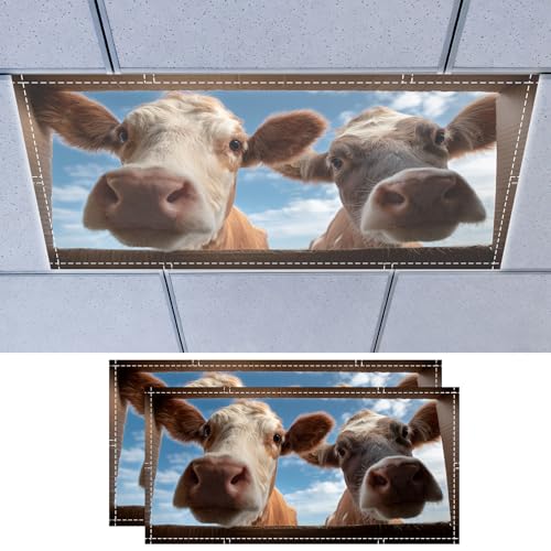 Nuxovilar 2 pack Ceiling Light Cover Cow Cardboard View Design Polyester 4x2 Feet Flourescent Light Covers Decor for Home Office Patio - color: VC04248-2pcs