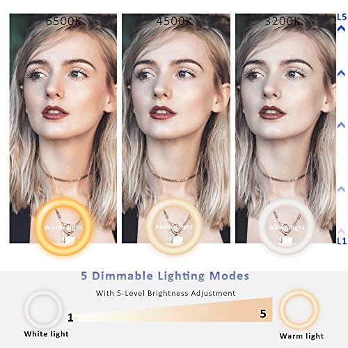 Zoom Lighting for Computer,Ring Light Clip on Laptop Monitor | Webcam Lighting, Zoom Call Lighting, Laptop Light& Distance Learning, Video Calls & Live Streaming