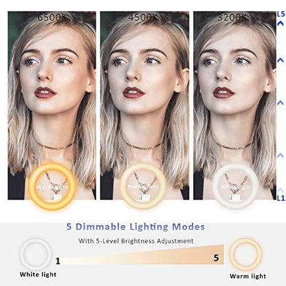 Zoom Lighting for Computer,Ring Light Clip on Laptop Monitor | Webcam Lighting, Zoom Call Lighting, Laptop Light& Distance Learning, Video Calls & Live Streaming