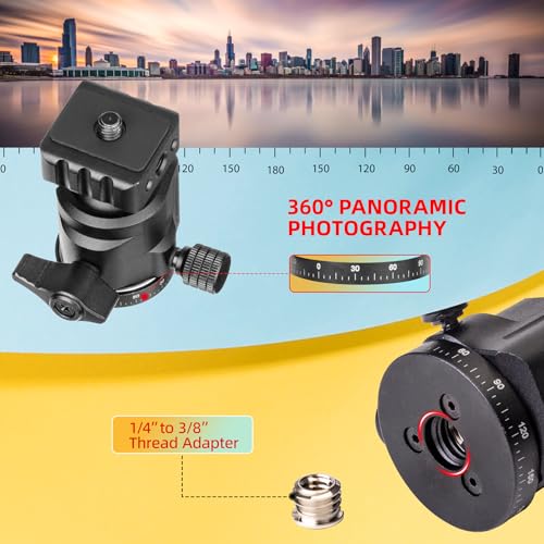 Zeadio Heavy Metal Tripod Kit: 1/4" Screw Adapter Tripod Mount for Travel | Recording | Vlog & Camera | iPhone Vlogging Kit & Camera Stand with 360° Ball Head - style: Dual Cold-shoe Ball Head