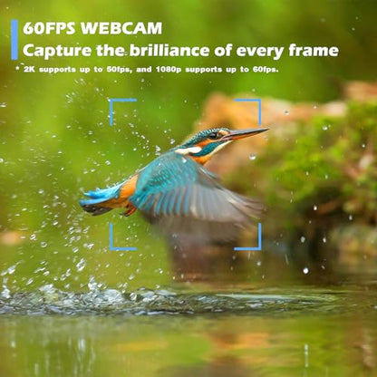 W4 2K Autofocus Webcam with Dual Mics & LED Light, 1080P 60fps/2K 50fps, USB Streaming Camera for PC, Laptop, Switch 2, Desktop - Plug and Play - color: Black-W4 2K Autofocus