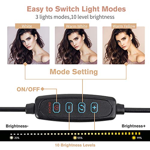 10" LED Selfie Ring Light with Tripod Stand & Cell Phone Holder for Tiktok/Live Stream/Makeup, BONFOTO Dimmable Desktop Camera Ringlight for YouTube Video/Photography Compatible with iPhone/Android