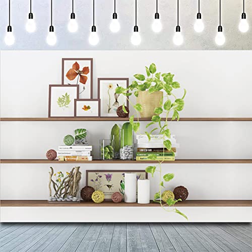 6x4ft Modern Living Room Backdrop Green Plant Bookcase Office Zoom Backdrop for Video Conference Zoom Screen Background for Home Office Background for Zoom Meeting Video Recording - size: 6x4ft