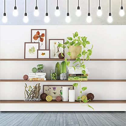 7x5ft Modern Living Room Backdrop Green Plant Bookcase Office Zoom Backdrop for Video Conference Zoom Screen Background for Home Office Background for Zoom Meeting Video Recording - size: 7x5ft