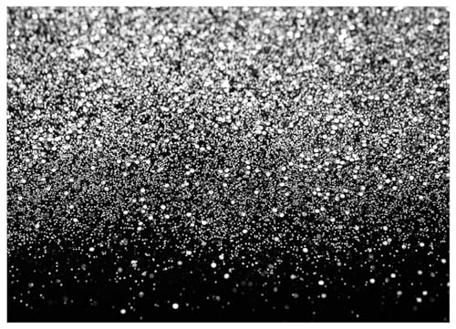 Black and Silver Backdrop Silver Glitter Backdrop for Photography Wedding Birthday Baby Shower Party Photo Studio 10x8FT FW18 - color: Silver, size: 10x8FT
