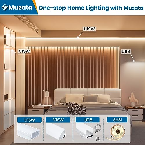 Muzata 40Pack 3.3FT/1M V Shape LED Channel Silver Aluminum LED Strip Diffuser Channel with Milky White Cover Frosted Corner Lighting Easy Installation V1SW WW 1M - size: 40P
