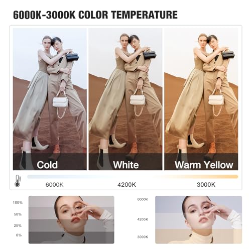 BEIYANG Softbox Lighting Kit, 2x20''x28'' Photography Soft Box with 2 pcs 6000K E27 LED Socket LED Bulbs, Studio Lights for Photography/Video Recording/Live Streaming