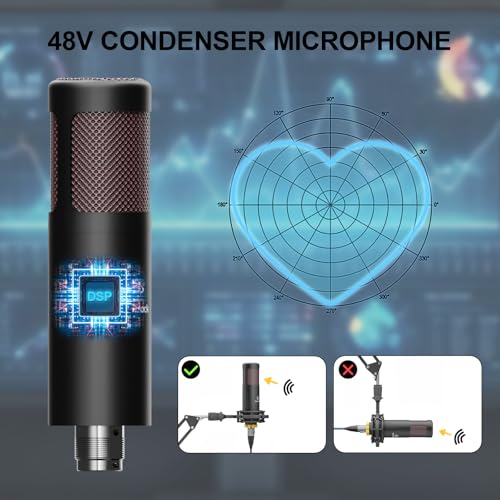 Podcast Equipment Bundle for 2, RGB Mixer with Premium 48V XLR Condenser Microphone Micro-SD card, Surround Sound, for Live Streaming/TikTok/YouTube, Compatible with iOS,Android,PC,Camera RS2i2 - style: Audio interface+ 2 condenser mics