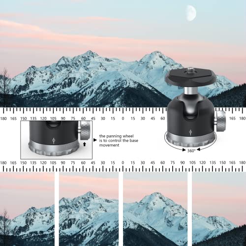 Tripod Ball Head 360 Degree Rotating Panoramic Ballhead with 1/4 inch Screw 3/8" Thread Mount, Max Load up to 5 kg/ 11lb,for Monopod, DSLR, Phone, Gopro - size: Heavy duty 11/lb