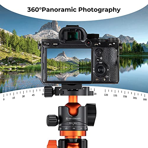 K&F CONCEPT 36mm Metal Tripod Ball Head 360 Degree Rotating Panoramic with 1/4 inch Quick Release Plate Bubble Level for Monopod Camera Camcorder Load Capacity up to 35.2 lbs/16KG - size: 16 kg Capacity