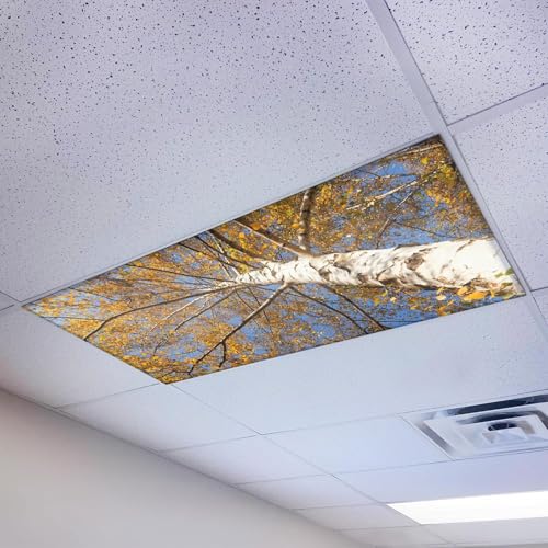 Magnetic Fluorescent Light Cover for Ceiling Lights Classroom 2x4 - High Resolution Magnetic Office Light Filter (Pack of 1) - Improve Focus, Eliminate Headaches & Eyestrain - Tree - color: Autumn Birch Tree