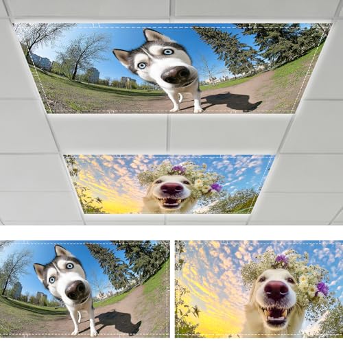 Nuxovilar Magnetic Fluorescent Light Covers 24 * 48 inch Polyester Fabric 2pcs Ceiling Diffuser Panels Glare Reduction Filters Classroom Office Home (Funny Husky & Golden Retriever Dog Pattern) - color: CC01569-2pcs