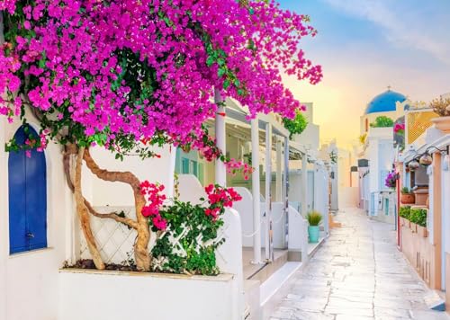 15x10ft Fabric Greece Backdrop for Photography Greek Island Whitewashed Blooming Flowers Alley Oia Street Background for Europe Themed Party Decor Birthday Wedding Photo Studio Props - size: 15x10FT