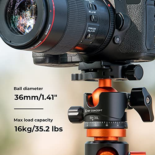 K&F CONCEPT 36mm Metal Tripod Ball Head 360 Degree Rotating Panoramic with 1/4 inch Quick Release Plate Bubble Level for Monopod Camera Camcorder Load Capacity up to 35.2 lbs/16KG - size: 16 kg Capacity