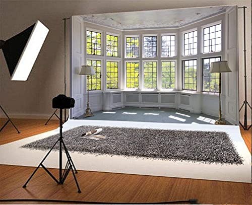 7x5ft Big Bright Window Backdrop Window Garden Zoom Room Background for Wall Zoom Living Room Office Backdrop for Video Conference Background for Video Recording - size: 7x5ft