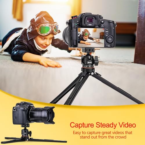 Zeadio Universal Heavy Duty Metal Tripod Kit-with 360° Ball Head, Phone Holder & Action Camera Adapter, Phone/Camera Stand for Filming, YouTube, Vlogs, Travel, Other Outdoor Events etc - style: Dual Cold-shoe Ball Head