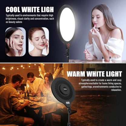Ring Light with Stand, 14" Professional Ring Light Tripod for iPhone, Adjustable Height for Video Recording Photography Live Streaming Content Creation TikTok YouTube, Black - size: 14inch Black