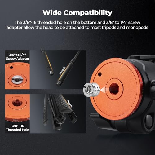 K&F CONCEPT 36mm Tripod Ball Head, 8kg Heavy Duty Head with Detachable Handle & Tilt Limiter, Arca Swiss Ball Head Mount with Quick Release + 360° Panoramic for Mirrorless Cameras and DSLRs