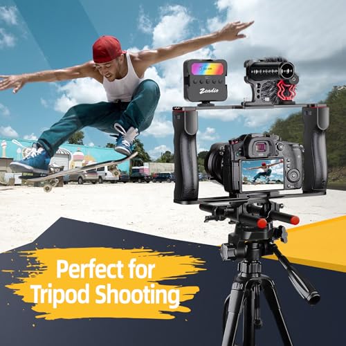 Zeadio All-in-One Video Rig Kit, Aluminum Handheld Camera Cage with RGB Video Light, Microphone, Top Handle,15mm Rod Guide, Extension Rods & Carrying Case for Filmmaking Vlogging Recording etc - style: Pro Kit