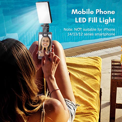 Andoer Pocket Clip-on LED Video Light Computer Tablet Mobile Phone Video Conference Light 2500K-9000K Dimmable Built-in Battery for Online Meeting Live Streaming Selfie, Black - color: Black