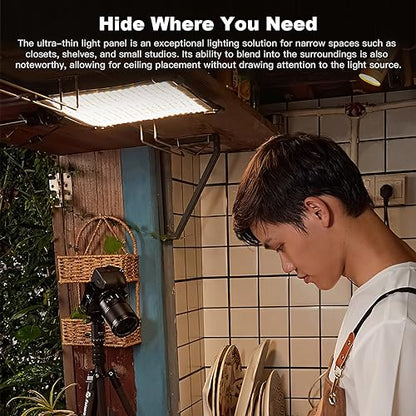 Godox FH50R Ultra-Thin Flexible LED Soft Light Panel, 2500~10000K CRI97+, APP Control, Handheld RGB Video light with AD-E2 Flash Holder Metal Bracket, Carry Bag for YouTube Studio Photography Shooting - color: FH50R(2500~10000K)