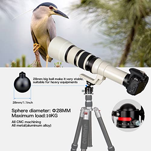 Koolehaoda Mini Ball Head with Arca Quick Release Plate, 360° Panoramic | Φ28mm Metal Ball Joint, 1/4" Screw, Max Load 22lbs/10kg, for DSLR Camera Tripod Monopod, Lightweight Aluminum - color: 28mm Ball Head