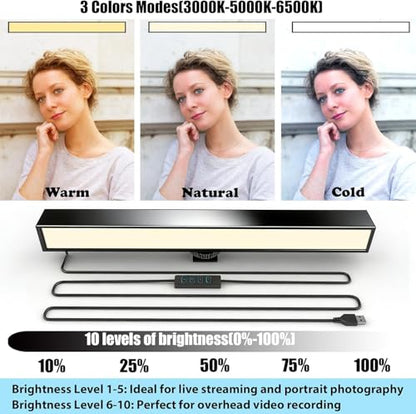 Desk Selfie Light with Overhead Phone Mount, Adjustable Arm & Phone Holder, USB Powered Video Light for Content Creation, Photo Shooting, Live Streaming，Video Recording - size: 9.8-inch LED light