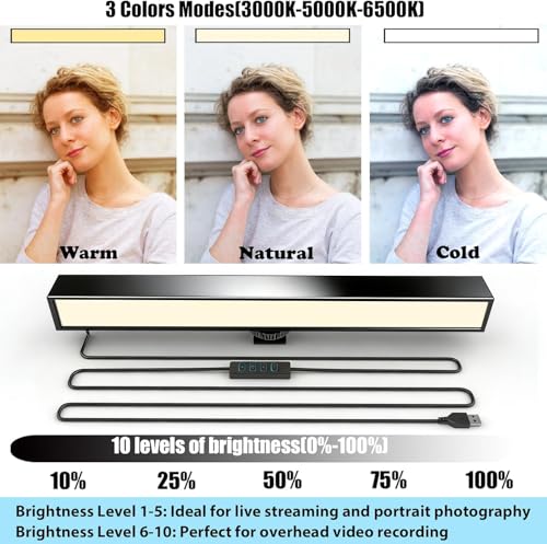 Desk Selfie Light with Overhead Phone Mount, Adjustable Arm & Phone Holder, USB Powered Video Light for Content Creation, Photo Shooting, Live Streaming，Video Recording - size: 9.8-inch LED light