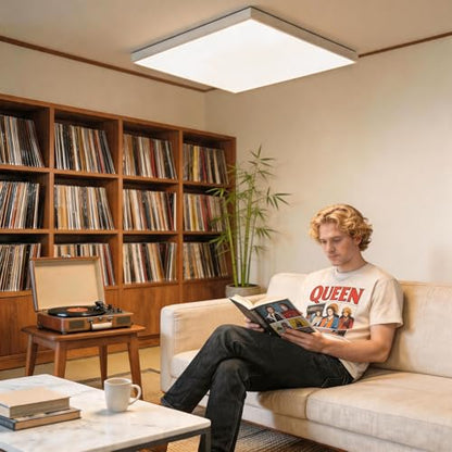 4Pcs Light Diffuser Sheet, LED Light Diffuser Board, LED Diffuser Film, Adhesive Diffuser Panel Stickers for Soften Ceiling Light LED Downlight Spotlight Led Flash Strobe Light(11.8x11.8'')