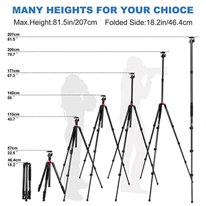 CAVIX 78.7 inch/200cm Aluminum Tripod, 2-in-1 Travel Tripod and Monopod Combo, Foldable 4-Section Lightweight with 360°Ball Head and Quick Release Plate, Load Capacity 22 lbs for DSLR Camcorder - size: Aluminum Alloy(78.7")