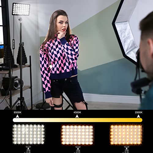 2 Packs RGB LED Video Light with Adjustable Tripod Stand/White Filters, Dimmable 2500-6500K USB Video Conference Lighting Kit for YouTube Photography/Game Zoom Live, Streaming,TikTok, 1.6M