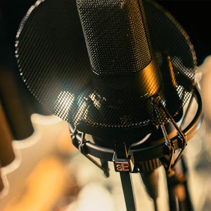 sE Electronics Isolation Pack with Integrated Metal Microphone Pop Filter & Microphone Shock Mount - Compatible with sE X1 Series or sE2200 Series Mics