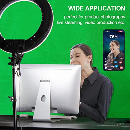 EMART Green Screen Backdrop, 10 x 12 Ft Photography Greenscreen Background Sheet Fabric Kit for YouTube Video Streaming Zoom, Small Photo Chromakey Muslin Cloth Curtain with 4 Clip - color: Green, size: 10 x 12 Ft