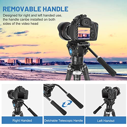 CAVIX Professional Fluid Drag Video Head, Smooth Pan & Tilt Control with Adjustable Drag, 3/8" & 1/4" Quick Release Plate, Max Load 13.2 lb/6 kg for DSLR, Mirrorless & Camcorder On Tripod/Monopod