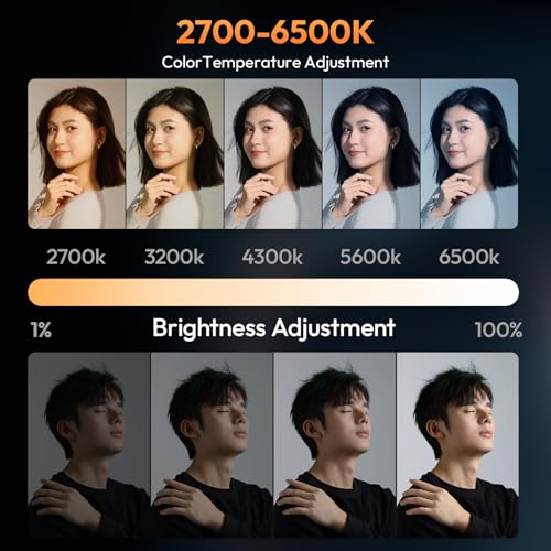 ULANZI 40W Bi-Color Portable Video Light, 5000mAh Rechargeable LED Camera Light, Battery, 8 Scene Modes, 2700-6500K Mini Studio Lighting for YouTube, Vlogging, Live Streaming, Photography - color: LM-P40Bi