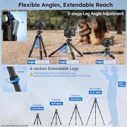 SIRUI 31.5" Compact Carbon Fiber Small Desktop Tripod with Low Profile Ball Head, Portable Lightweight Backpack Camera Tripod with Spikes for Travel Vlogging Tabletop, Macro Photography, AM-224S+G0 - style: AM-224S+G0