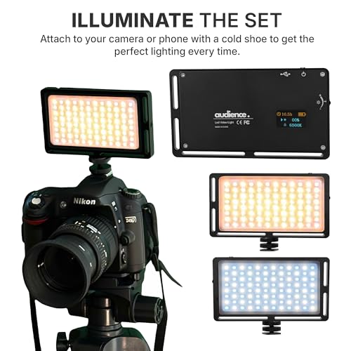 Audience Professional LED Studio Light for Photo and Video Content Creators