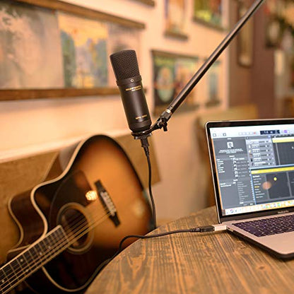 Marantz Professional MPM-1000U USB Condenser Microphone for Gaming, Streaming and Podcasting - Built-In Audio Interface, Desktop Stand, Plug-and-Play, Black - style: USB Mic