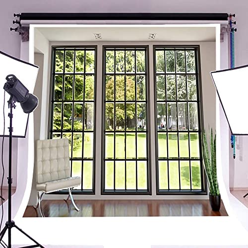 AOFOTO 8x8ft Business Office French Sash Window Backdrop Living Room Sofa Plant Photography Background Interior Casement Work at Home Modern Flat Furniture Apartment Decoration Residence Villa Props - size: 8x8ft
