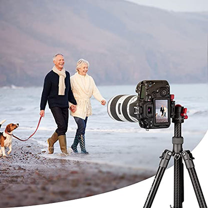 SmallRig 360 Rotating Panoramic Tripod Ball Head, Max Load 5kg / 11lbs | 360 Ballhead with 1/4 inch Quick Shoe Plate, for Tripod Monopod Slider DSLR Camera Camcorder
