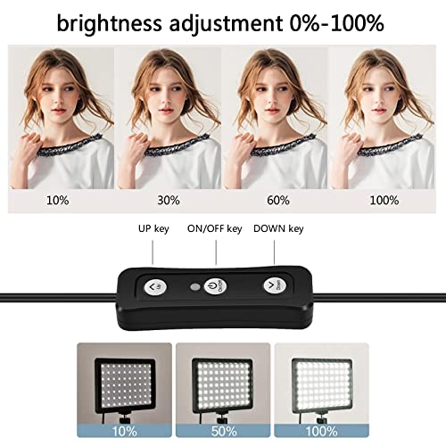 2 Pack Streaming Key Light with Desk Stand C-Clamp Stand Dimmable Video Panel Light for Video Recording Conference Webcam Laptop Zoom