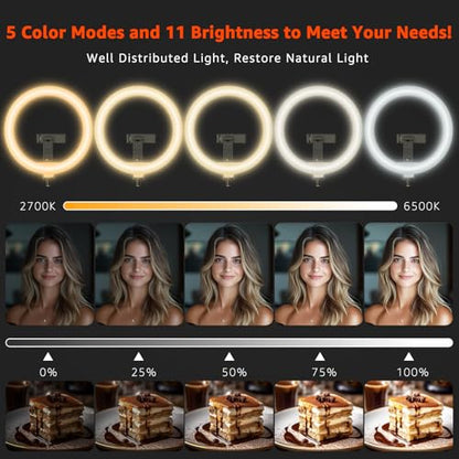 10" LED Ring Light with Overhead Phone Stand, CRI≥95 1200lm Dimmable Lighting, Adjustable Metal Arm with Remote & Phone Holder, for Streaming, Makeup, Zoom Calls, Photography