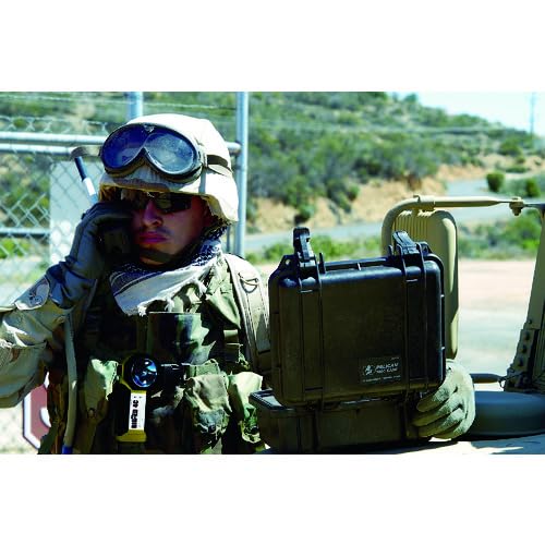 Pelican 1150 Case With Foam (Black)