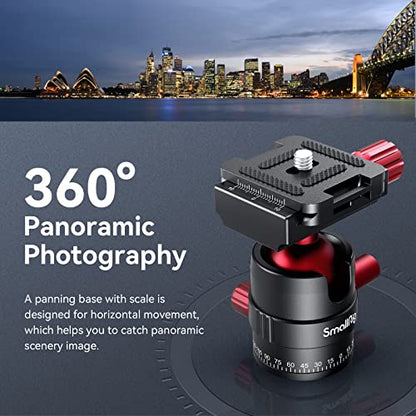 SmallRig Tripod for iPhone Desktop Mini Tripod - Aluminum Alloy 20 inches/ 50 cm with 360 Degree Ball Head, 1/4 inch Quick Shoe Plate for Vlogging DSLR Camera Video, Load up to 11 pounds-3033 - style: 2